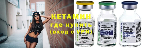 прущие грибы Медвежьегорск