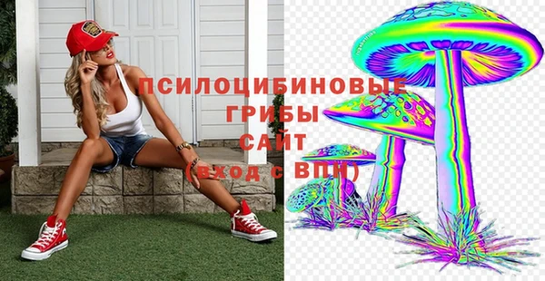 эйфоретик Михайловка