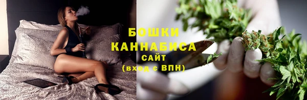 прущие грибы Медвежьегорск