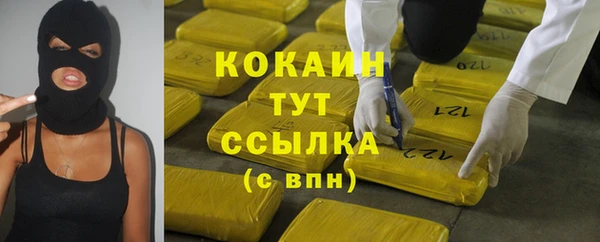 прущие грибы Медвежьегорск