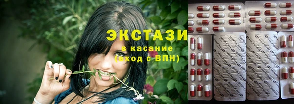 прущие грибы Медвежьегорск