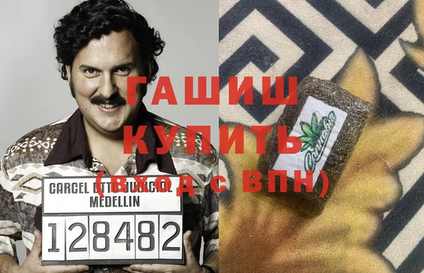 прущие грибы Медвежьегорск
