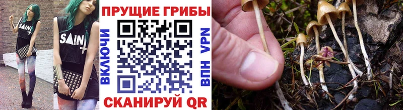гидра ссылки  Ессентукская  Псилоцибиновые грибы GOLDEN TEACHER 