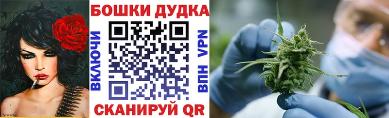 Конопля конопля Ессентукская